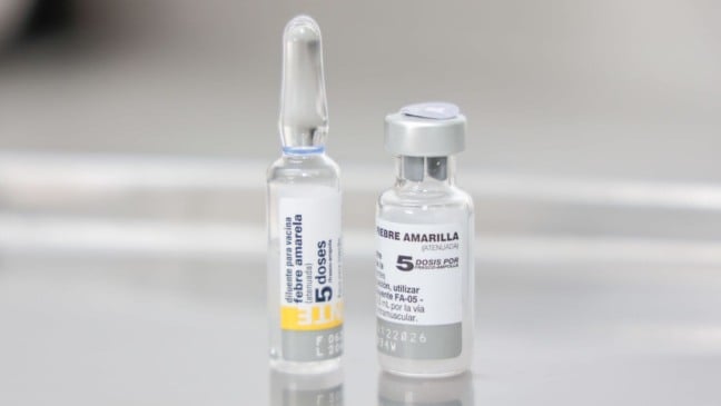 Vacina Febre Amarela