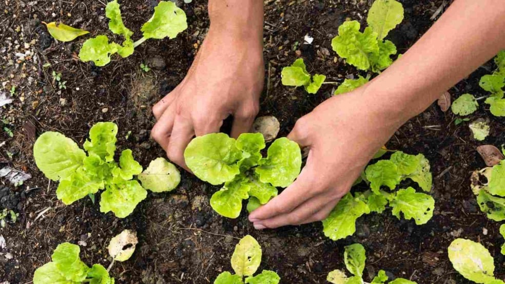 (Foto: chaiyon021/Canva)