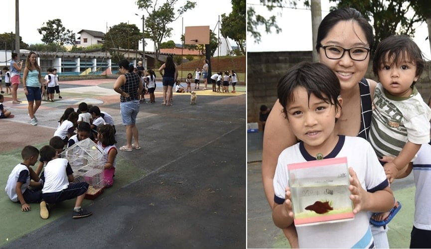 Escola de Jundiaí estimula convivência entre alunos e animais de estimação