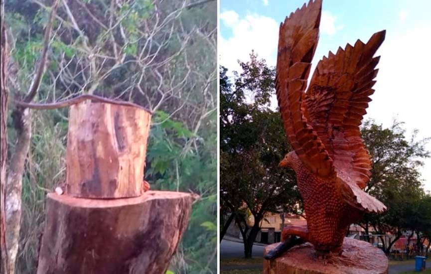 Escultura de águia em parque de Várzea Paulista é roubada