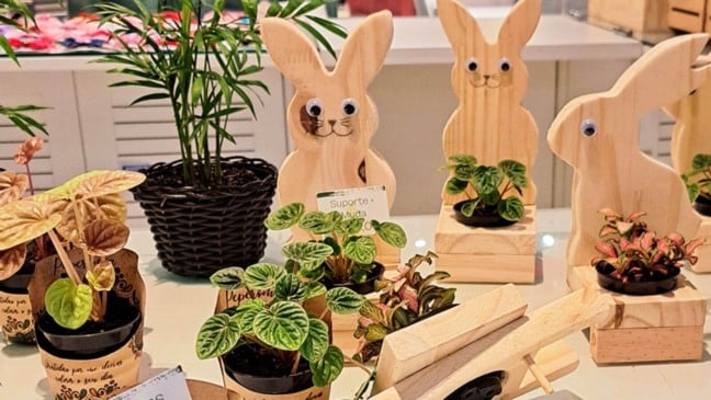 Foto: Maxi Shopping Jundiaí