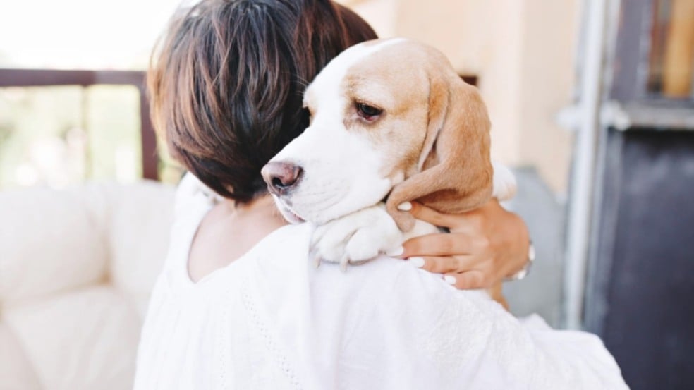 Mulher abraçando cachorro