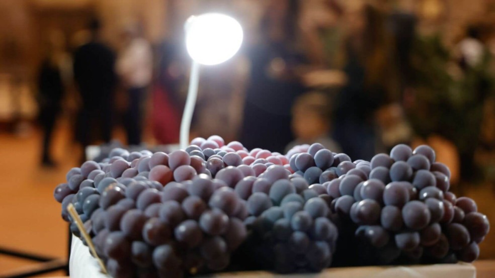 Foto: Prefeitura de Jundiaí Foto: Prefeitura de Jundiaí