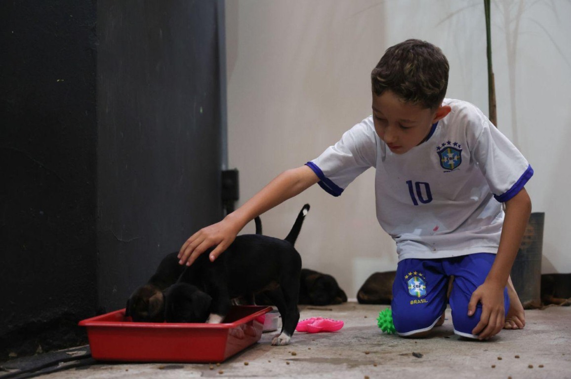 5ª FENS: domingo (14) tem ação solidária com adoção de cães e gatos 5ª FENS: domingo (14) tem ação solidária com adoção de cães e gatos