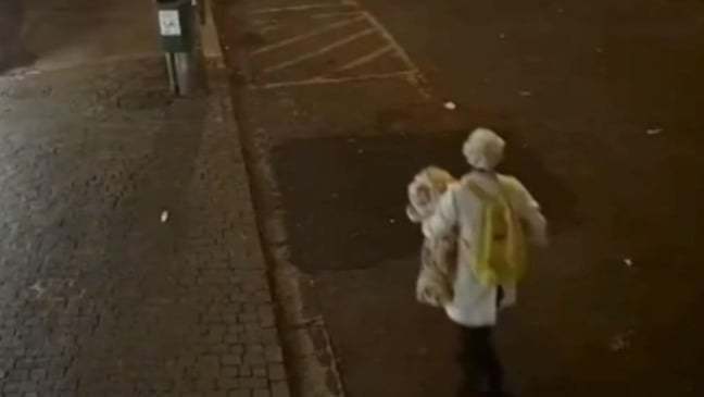 Falsa médica leva bebê de três horas de vida do hospital