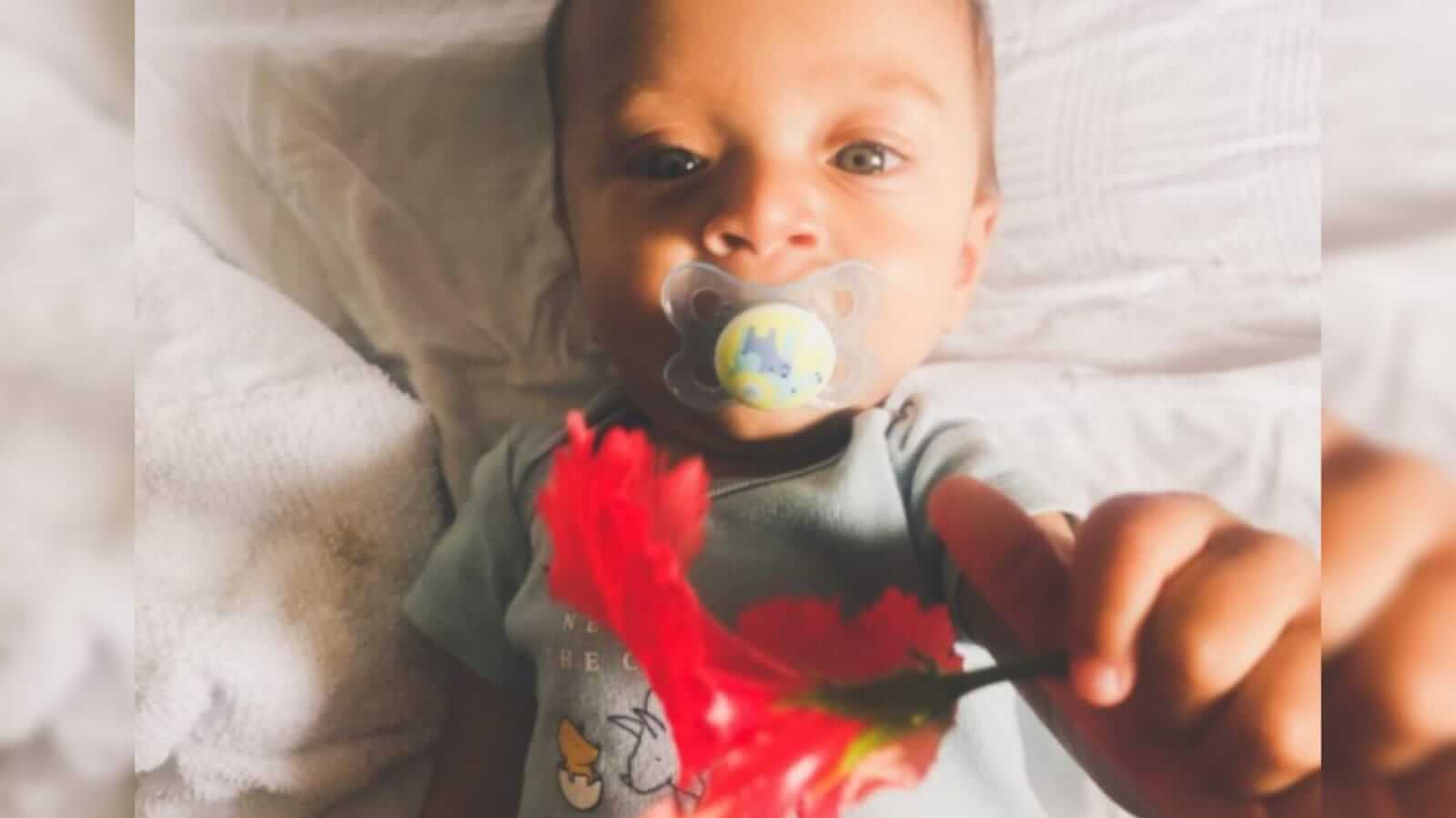 Bebê segurando uma flor vermelha
