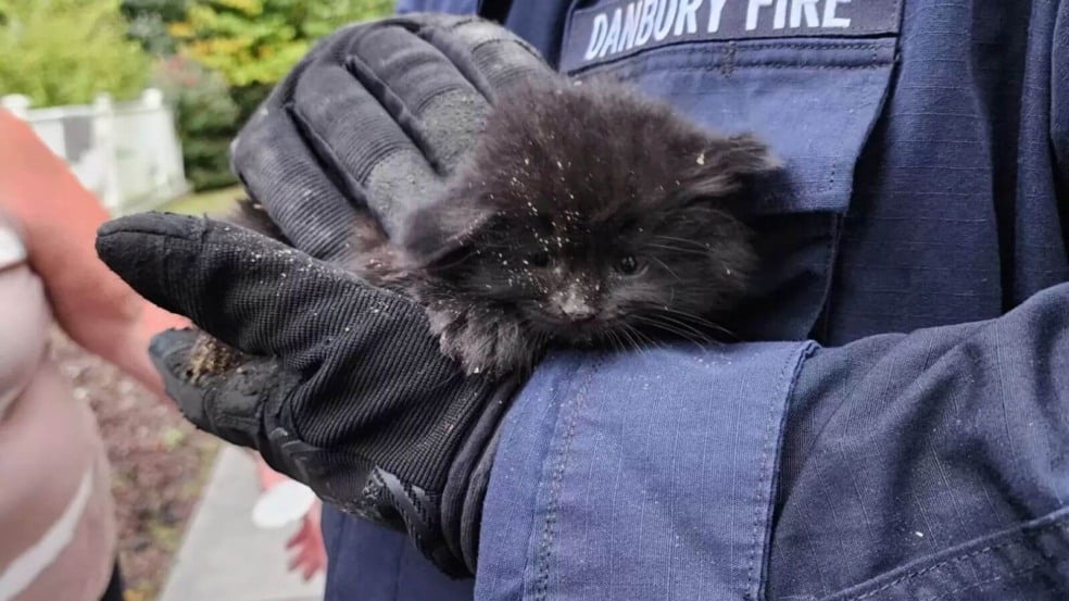 Foto: Facebook/Corpo de Bombeiros de Danbury