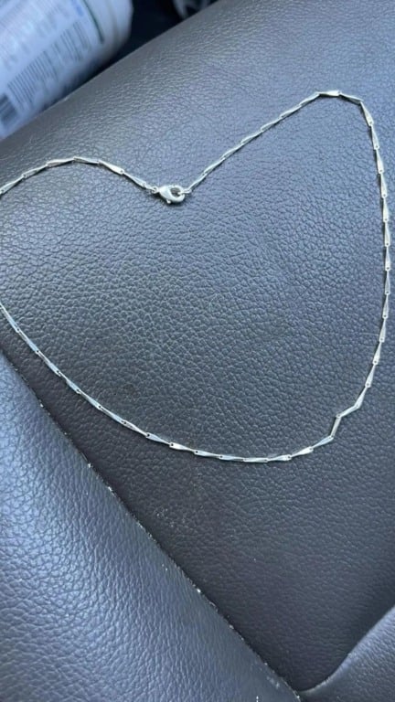 Cachorro abandonado em árvore