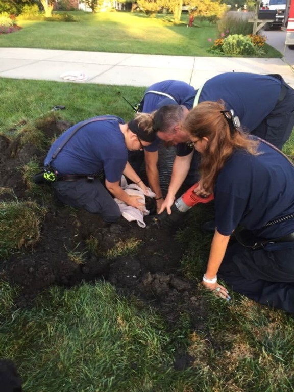 Bombeiros resgatando cachorro preso em bueiro