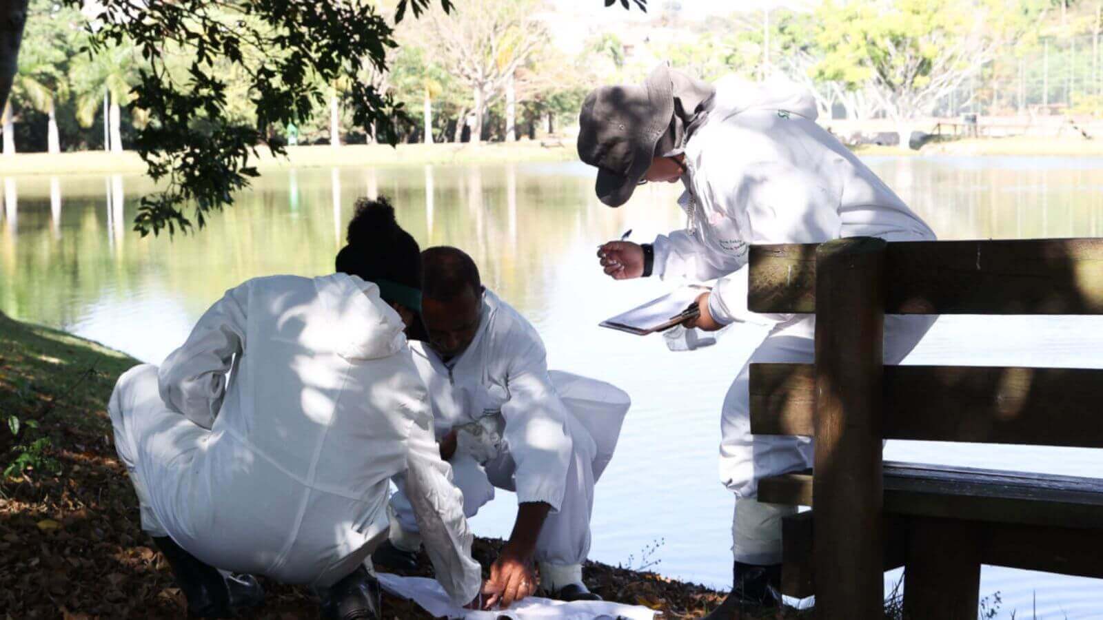 Agentes da VISAM de Jundiaí atuam em prevenção à Febre Maculosa