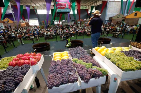 Começa hoje a 39ª Festa da Uva e 10ª Expo Vinhos de Jundiaí