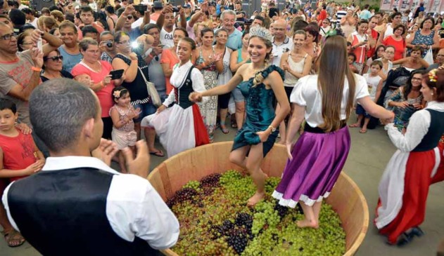 pisa da uva durante festa da uva de jundiaí. na foto, rainha da festa pisa em tonel cheio e uvas enquanto o publico ao redor acompanha