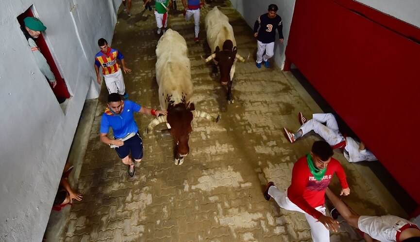 Festa de São Firmino termina com 35 feridos e 8 chifrados Festa de São Firmino termina com 35 feridos e 8 chifrados