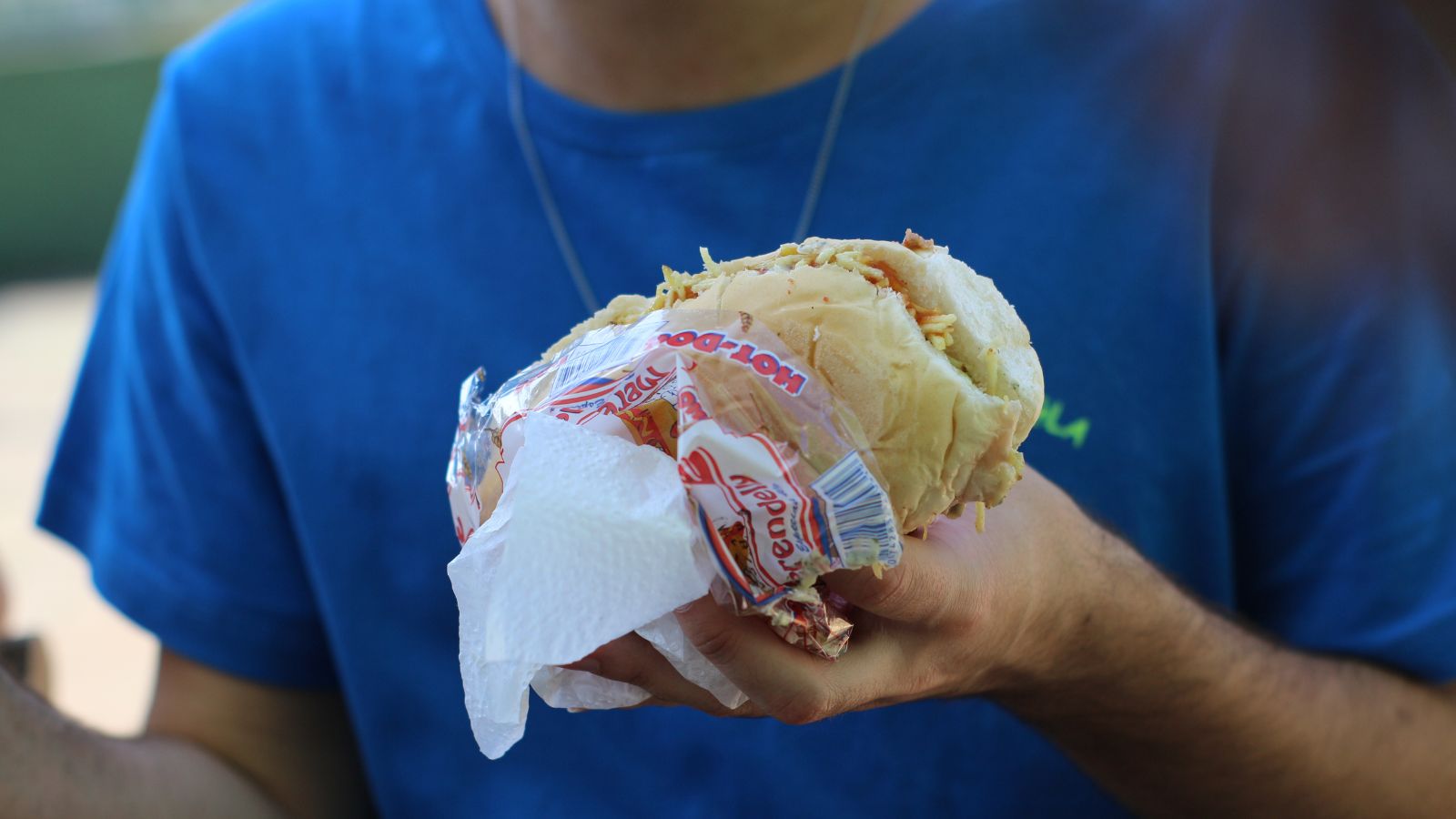 Cachorro quente vegano