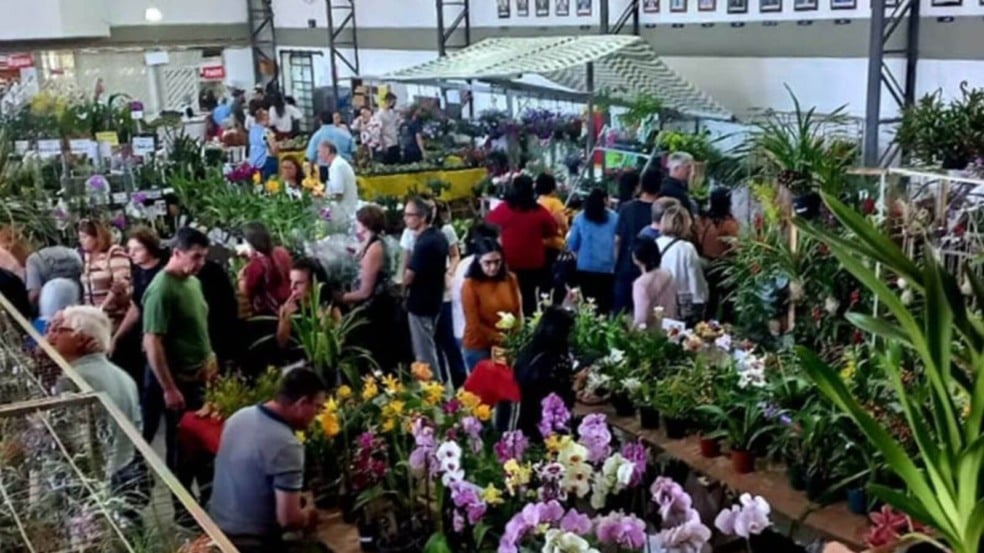 1ª Edição Festival de Orquídeas