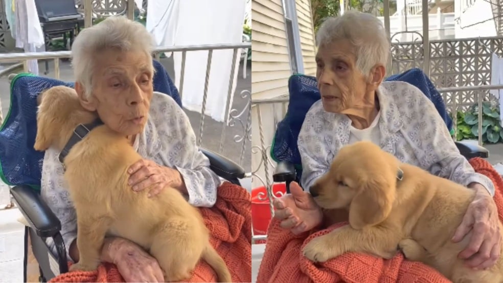 Foto: Reprodução/Instagram/hudsonstaysgolden