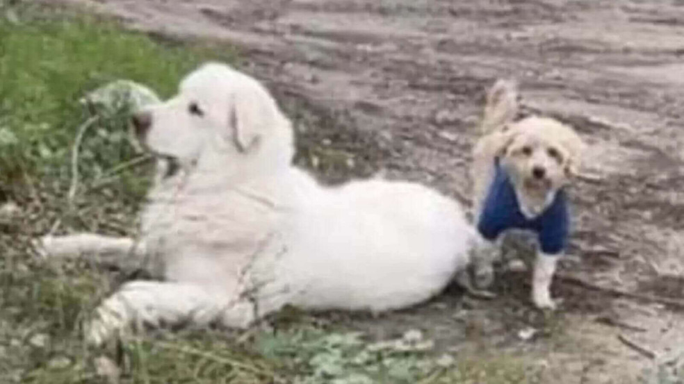 Foto: Logan's Legacy