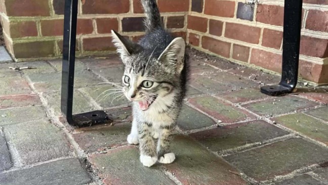 Foto: Arquivo pessoal/Keighley Eryn Card