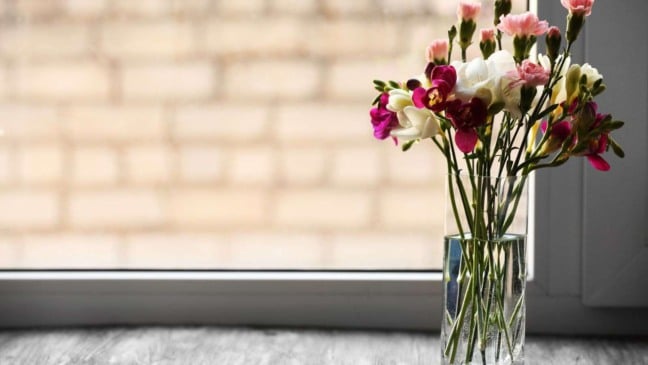 (Foto: pixelshot/Canva)