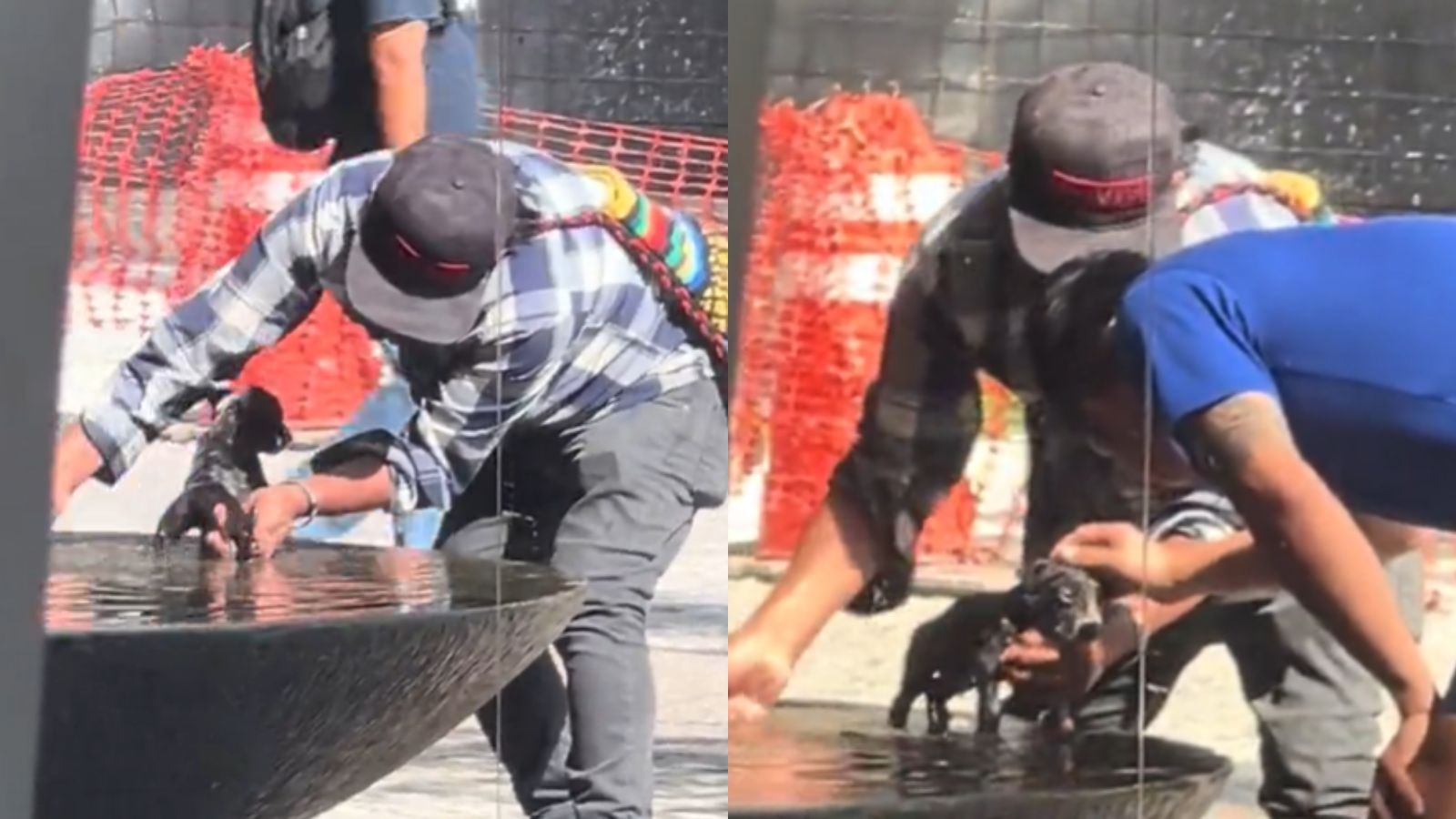 Homem dá banho em filhote de cachorro em fonte na praça