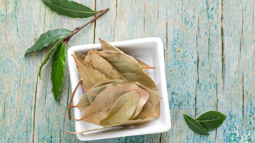 (Foto: YelenaYemchuk/Canva)