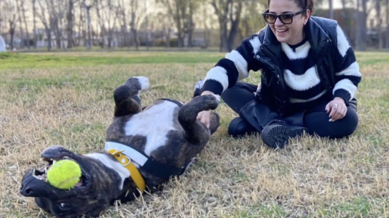 Funcionário encontra cachorro adorável dormindo na camas da loja