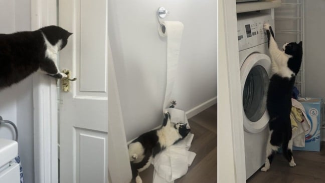 Foto: Reprodução/X