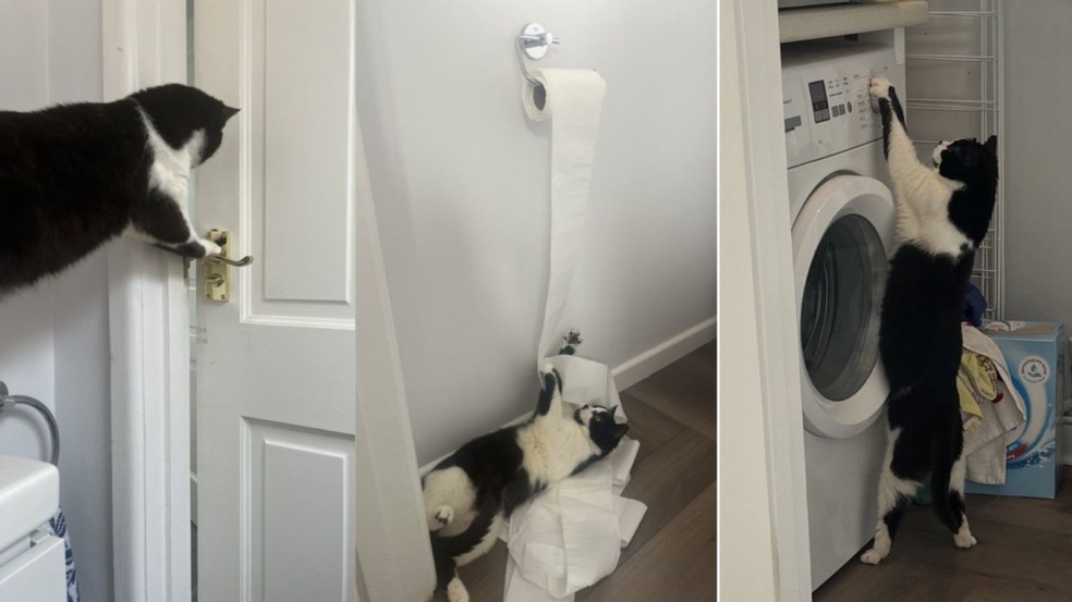 Foto: Reprodução/X