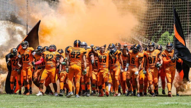 Foto: Divulgação/Ocelots