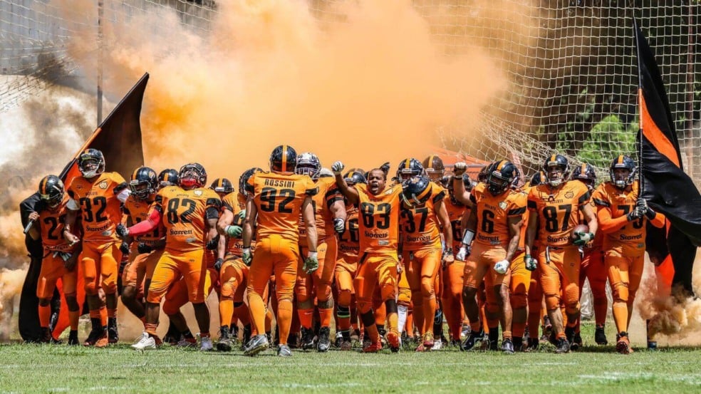 Foto: Divulgação/Ocelots