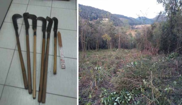 GCM de Várzea Paulista detém 5 pessoas desmatando área na Serra do Mursa