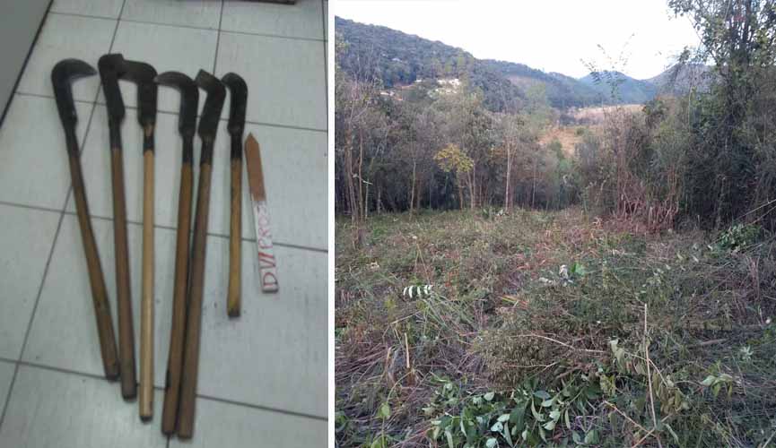 GCM de Várzea Paulista detém 5 pessoas desmatando área na Serra do Mursa