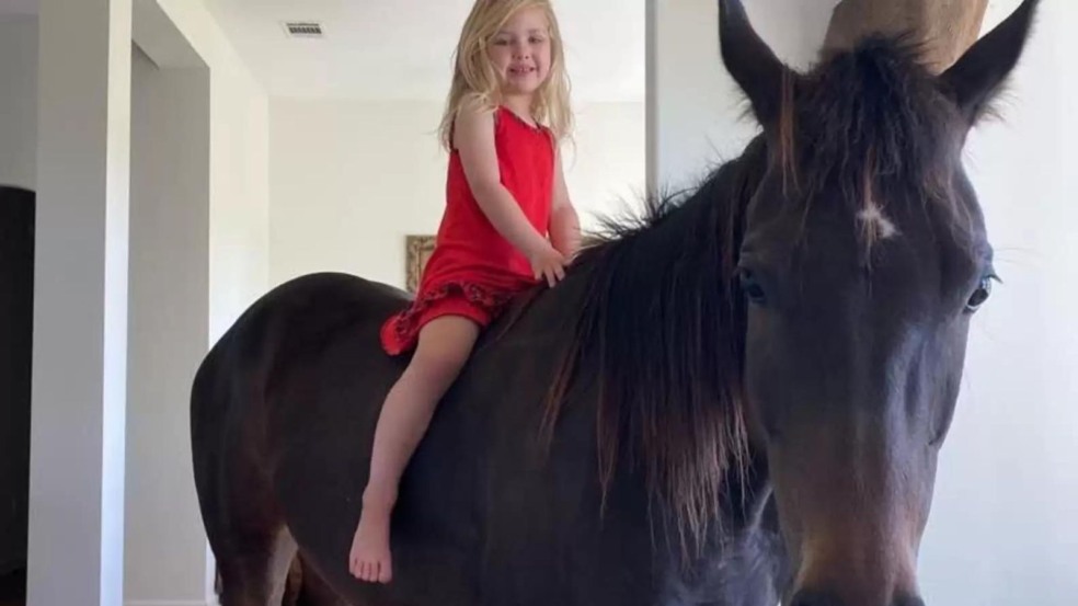 (Foto: Reprodução/ASHLIE PHILLIPS)