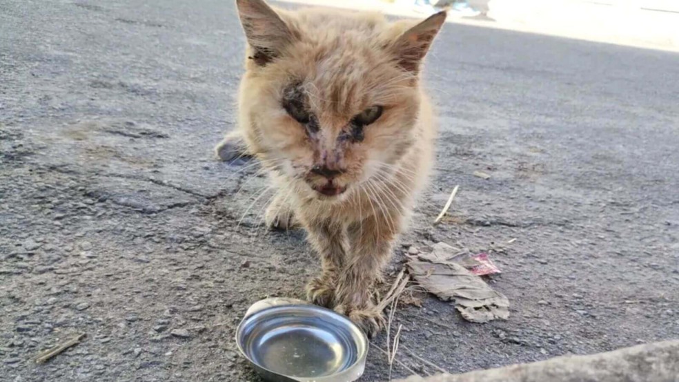 Foto: Arquivo Pessoal