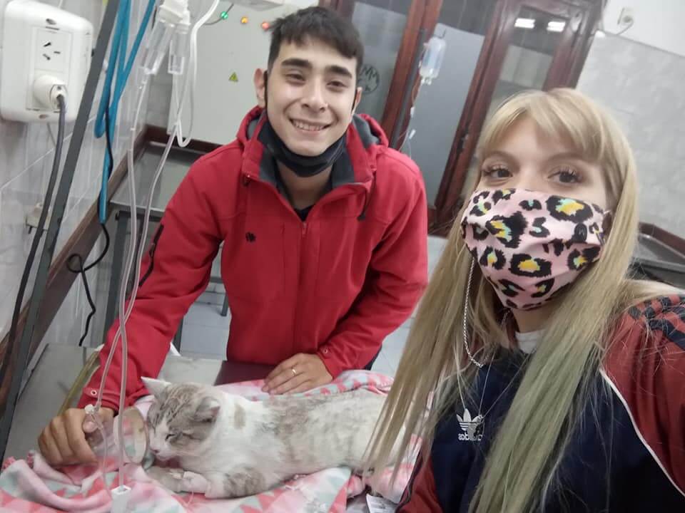 Jovem que atropelou gatinho o leva para o veterinário