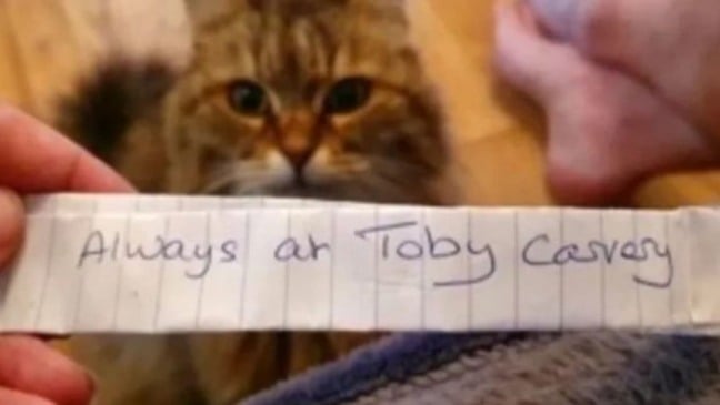 (Foto: Reprodução/tula_queencat)