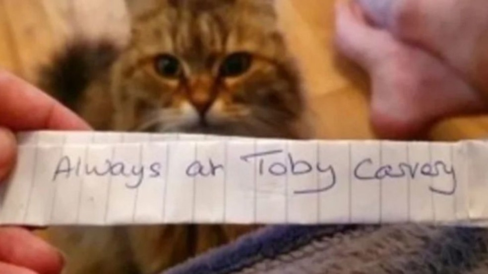 (Foto: Reprodução/tula_queencat) (Foto: Reprodução/tula_queencat)