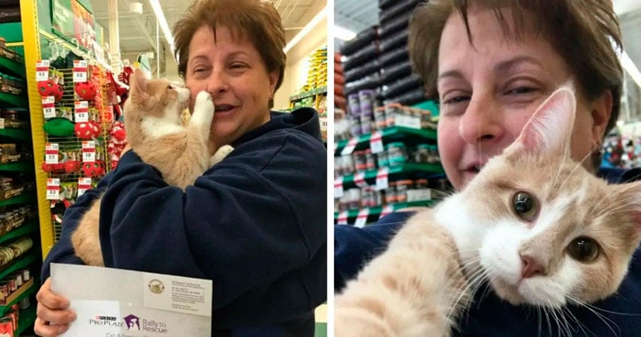 Gato está tão feliz por ser adotado que não para de abraçar sua mãe humana
