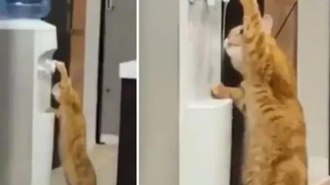 (Foto: Reprodução/Twitter)