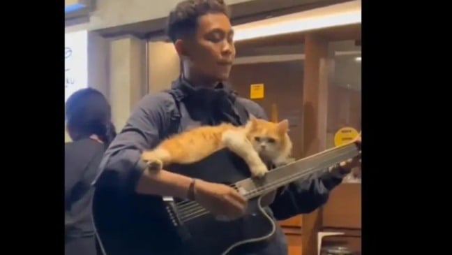 (Foto: reprodução/Anda)