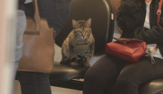 Velório das vítimas do acidente de ônibus