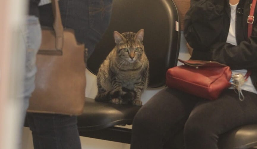 Velório das vítimas do acidente de ônibus