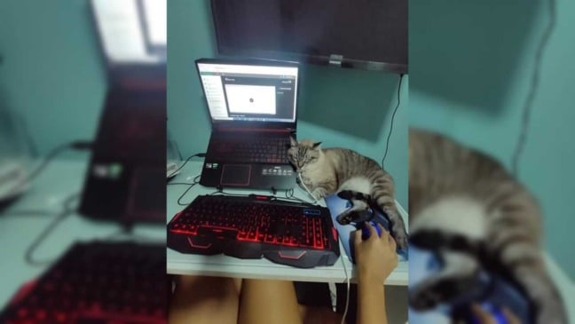 Foto: Reprodução Facebook/ Arrquivo Pessoal