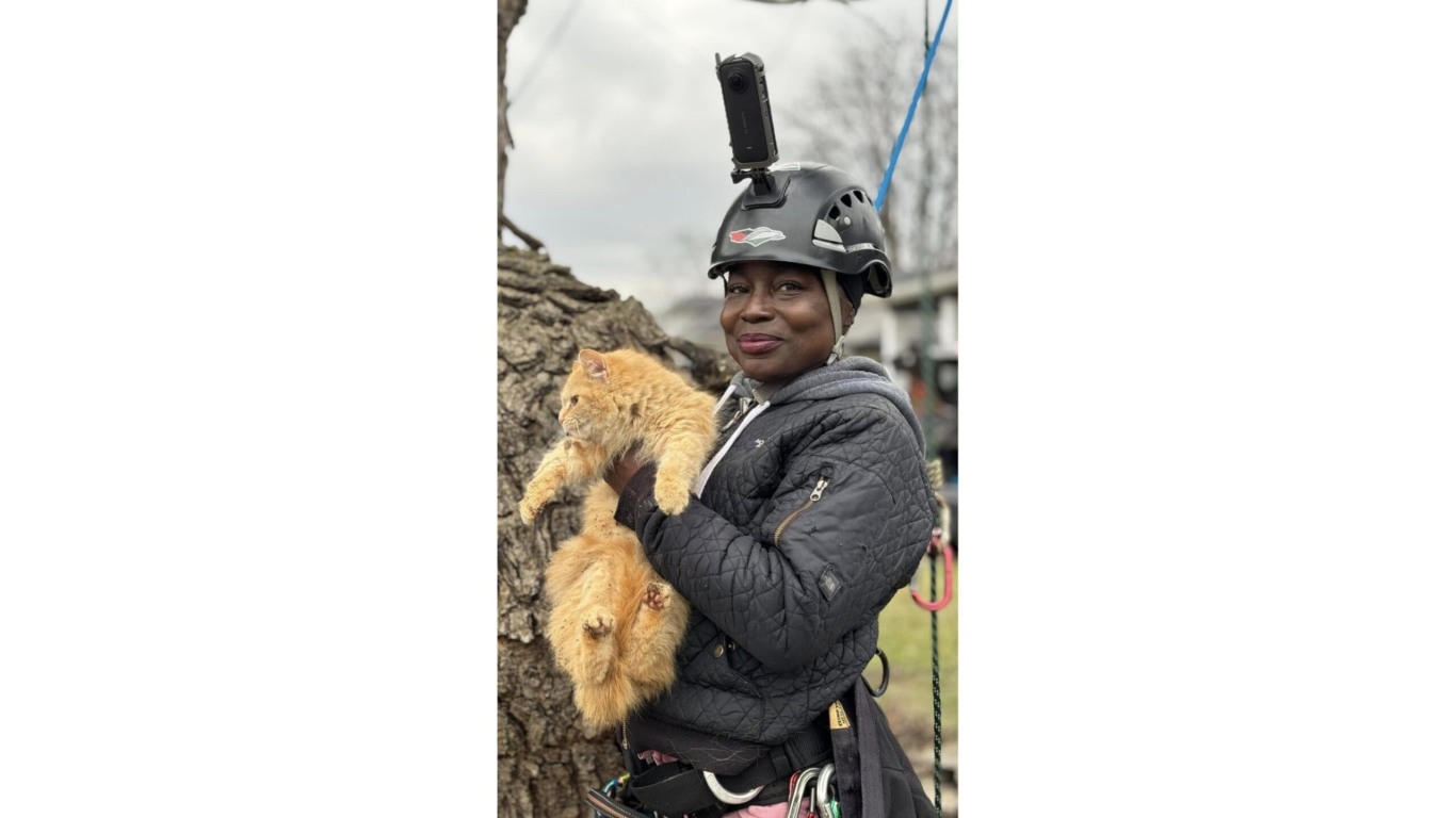 Mulher segurando gato laranja