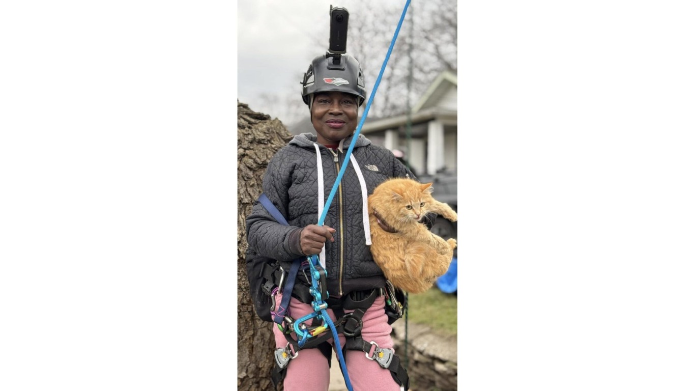 Mulher segurando gato laranja