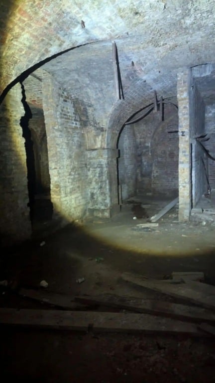 Gato preso em porão de igreja