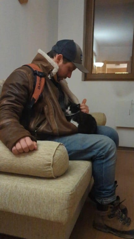 Gato de rua pula na mochila de casal e implora para que o levem para casa