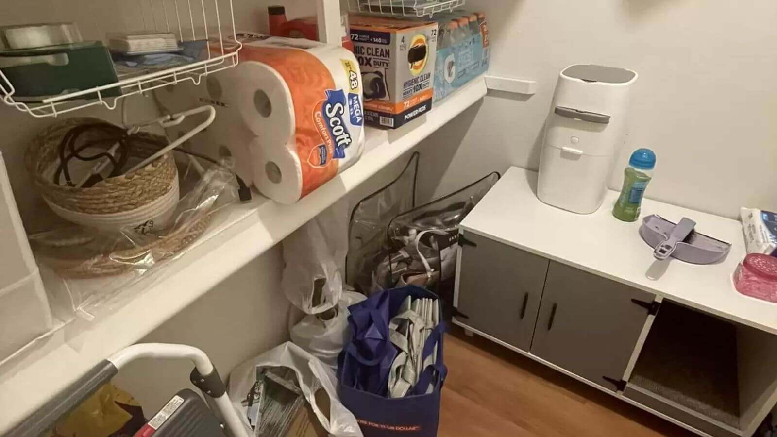 Gato escondido em quartinho