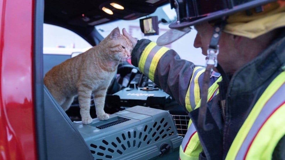 Foto: Reprodução/Facebook/Corpo de Bombeiros do Colorado