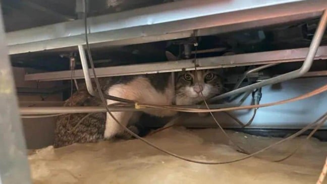 (Foto: Corpo de Bombeiros/Divulgação)